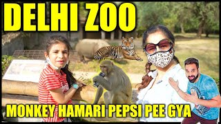 We Saw Lion in Delhi Zoo 🐯 Monkey Hamari Pepsi pee gya 😱 | Harpreet SDC