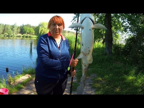 Веселая РЫБАЛКА С НОЧЕВКОЙ поймали ДИЧЬ на фидер ЕЖИКИ атакуют!