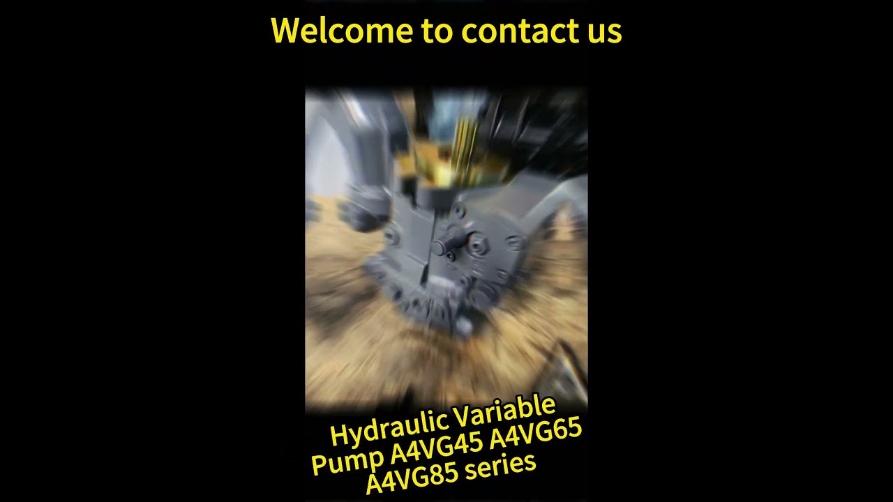 Hydraulic Variable Pump Hydraulicpump Machine