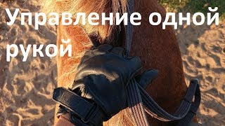 Управление лошадью одной рукой