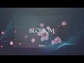 Leskristo  blossom official audio