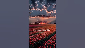 قُلْ يَا أَيُّهَا النَّاسُ قَدْ جَاءَكُمُ الْحَقُّ مِن رَّبِّكُمْ ۖ  - القارئ احمد خضر 💜