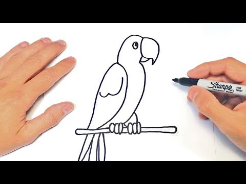 Video: Cómo Dibujar Un Loro Con Pinturas