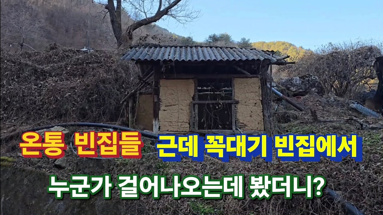 다~빈집이다 근데 꼭대기집에서 누군가 걸어나오는데 봤더니 세상에 젊으신분이?