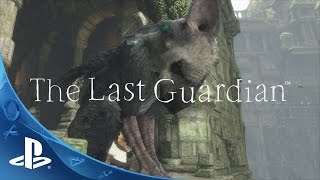 The Last Guardian Unboxing Press-Kit. Распаковка пресс-версии игры Последний Хранитель