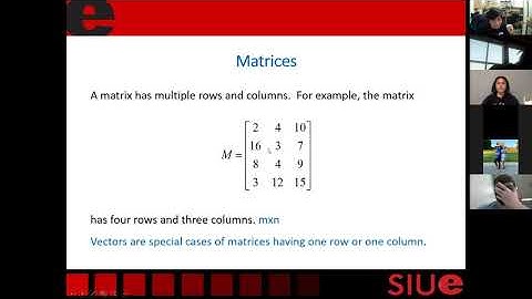 Numeric, Cell, and Array 1