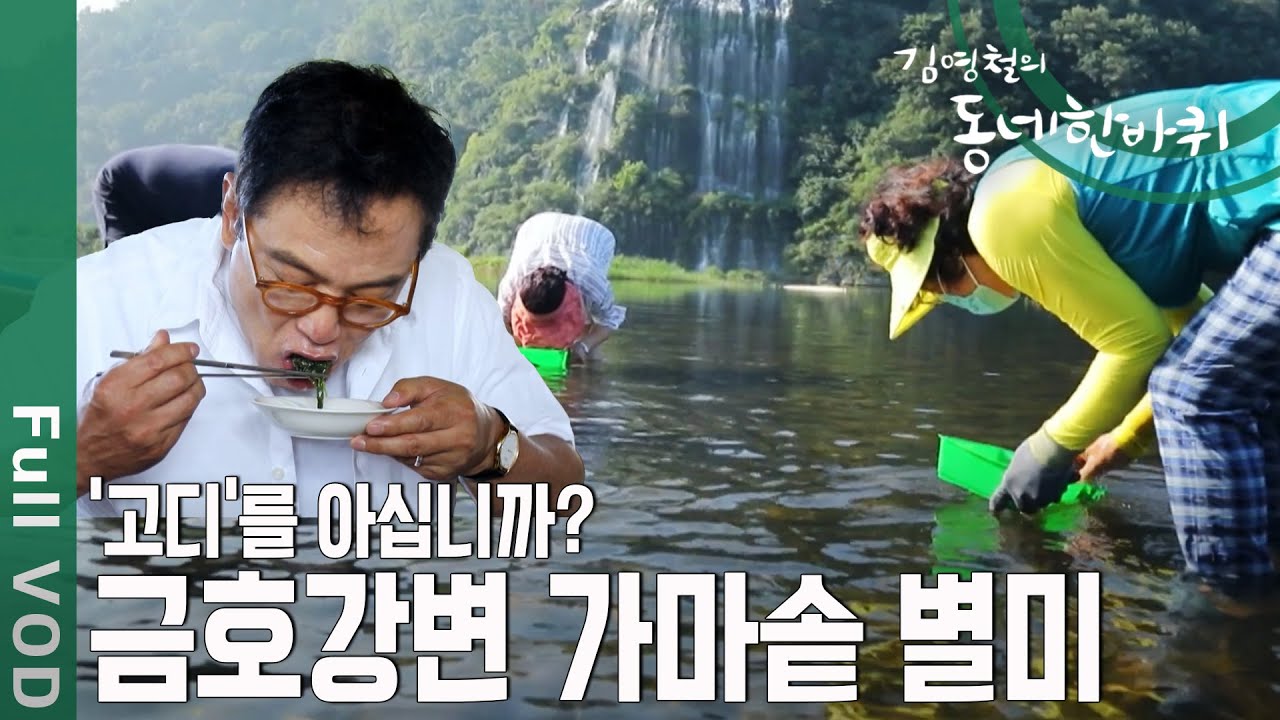 '고디'를 아십니까? 김영철도 푹! 빠진 금호강변 가마솥 별미 [동네한바퀴 - 경북 영천] | KBS 20200919 방송