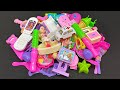 4:00 Minutes Satisfying with Unboxing Princess Dolls,Toys Set,Swing&amp;Slide Collection ASMR | Review