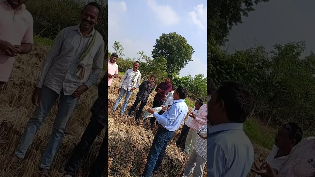 SRT rice farming Yavatmal district farmer visited at Birsa Munda farmhouse rajura