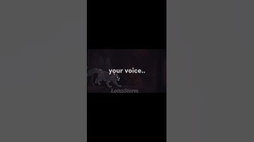 Feathertail’s death // Warrior cats edit // Ib: @hazelwing_wc // Credits in desc //