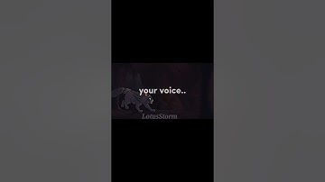 Feathertail’s death // Warrior cats edit // Ib: @hazelwing_wc // Credits in desc //