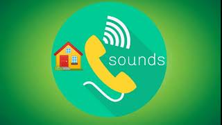 #shorts Wineglass On Wood Soft screenshot 3