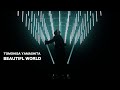 TOMOHISA YAMASHITA - 'Beautiful World ' M/V TEASER #6