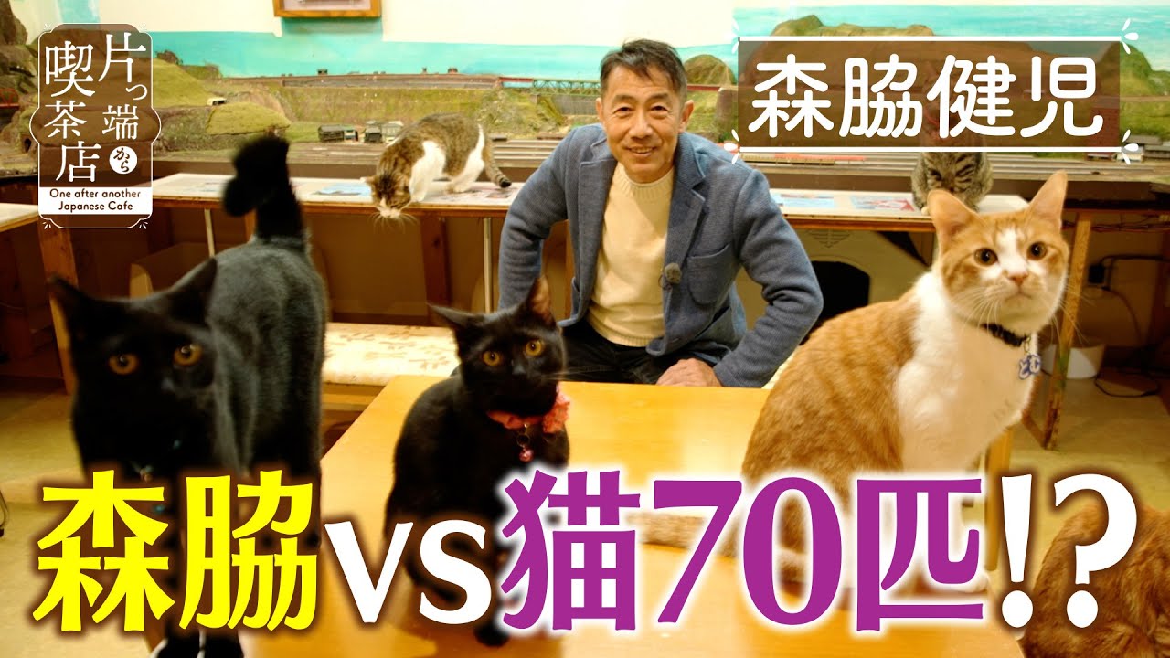 Kenji Moriwaki] Moriwaki vs. 70 cats!? [Coffee shops one