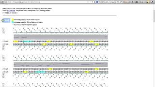 Alternative Open Reading Frame Module of IMG-ACT