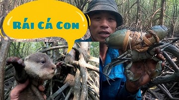 Quẹo Cần Giờ Tập Đặc Biệt 03: Gặp Ổ Rái Cá May Mắn Bắt Được Nhiều Cua Biển