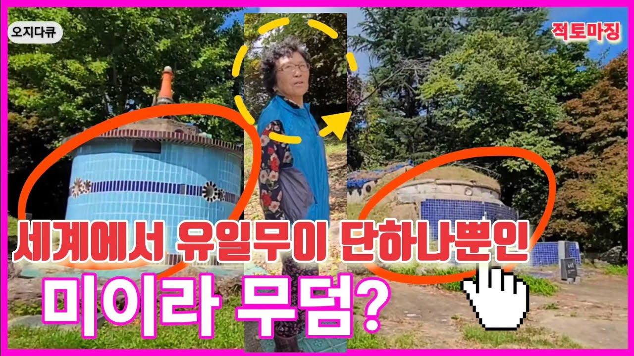 세계에서 유일무이 단 하나뿐인 미이라 무덤이 대한민국에?