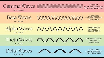 Brain Waves - The Psychology Behind Your Decisions (3 Minutes)