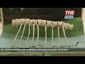 DAL LICEO ARTISTICO STATUE PER VALORIZZARE I CORSI D'ACQUA DELLA CITTA' | 25/05/2026