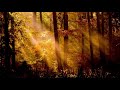Angel Dreams - Healing Song (30 minute healing meditation for the mind, body and soul)