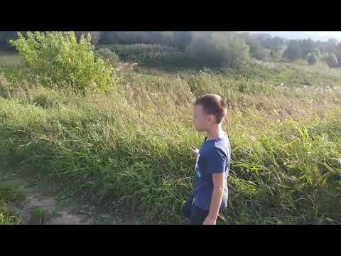 Поездка в деревню