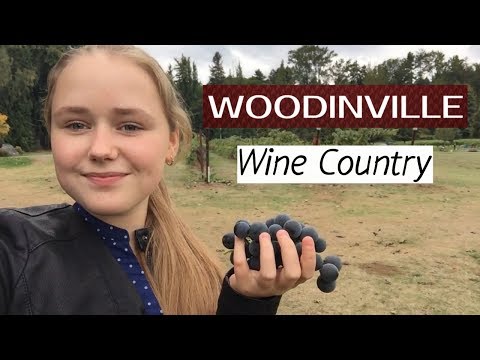 Видео: Лучшие винодельни Вудинвилля для дегустации и гастролей