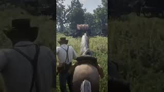 Rdr2