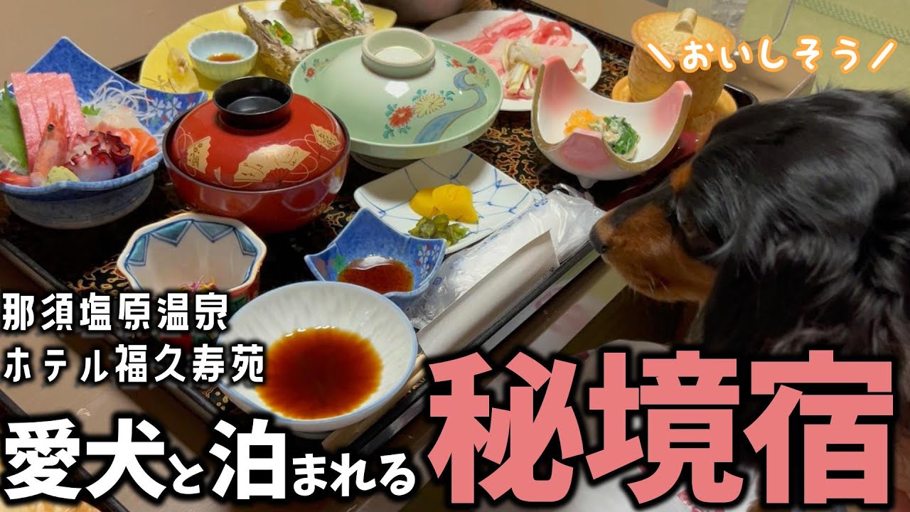 【犬連れ秘境宿】愛犬と行って大正解だった宿！那須塩原・福久寿苑【Vlog】