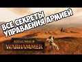 Управление армией 🏆 Total War Warhammer