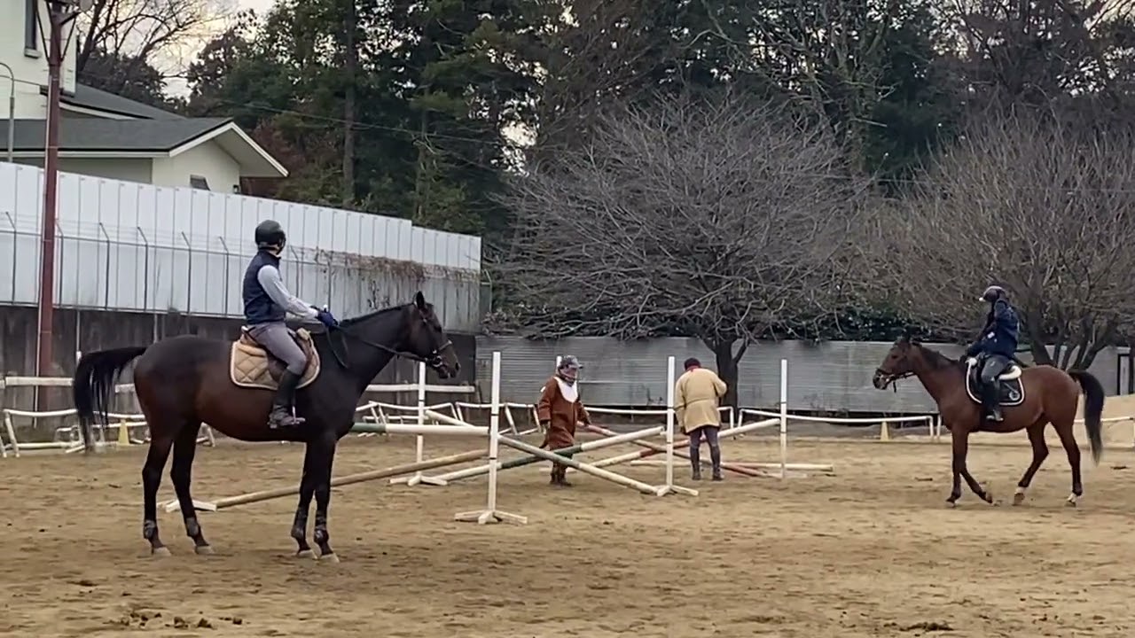 SRC狭山乗馬センター 指導員 (山崎  山口  觧良  高田) 障害三段階飛越 2025年12月21日　デメル号 セストラル号 アリオン号 レガート号