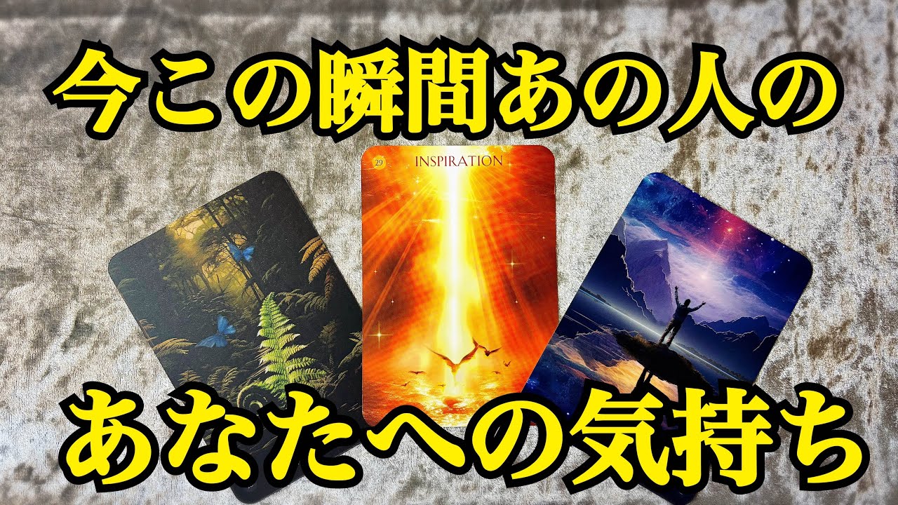 Love Psychic Tarot Reading】How They Feel About You Right Now‼️ I