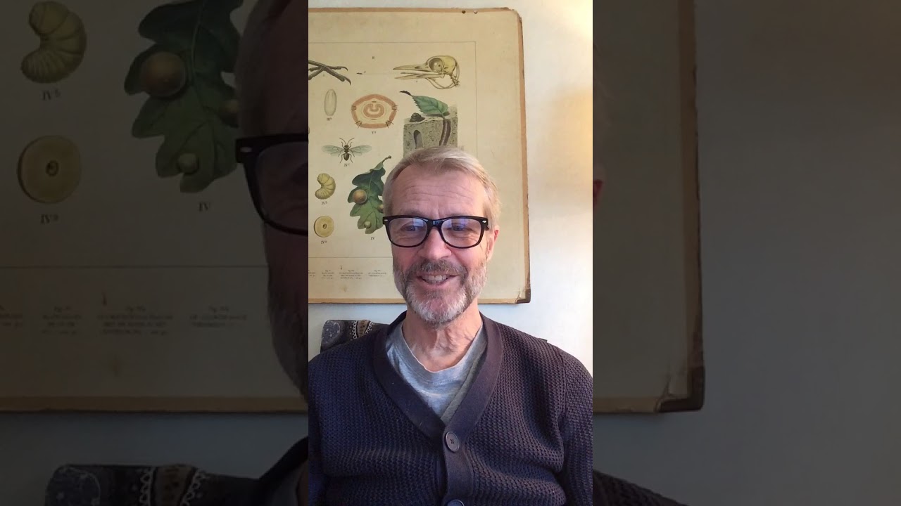 Sander Kollaard in april over zijn boek ‘Uit het leven van een hond’