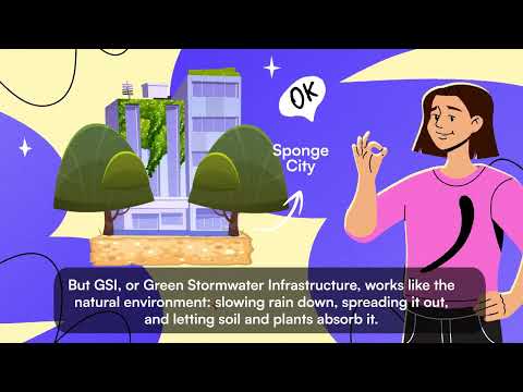 Video What are the different types of Green Stormwater Infrastructure?