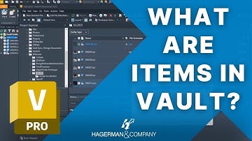 What are Items in Autodesk Vault Professional?