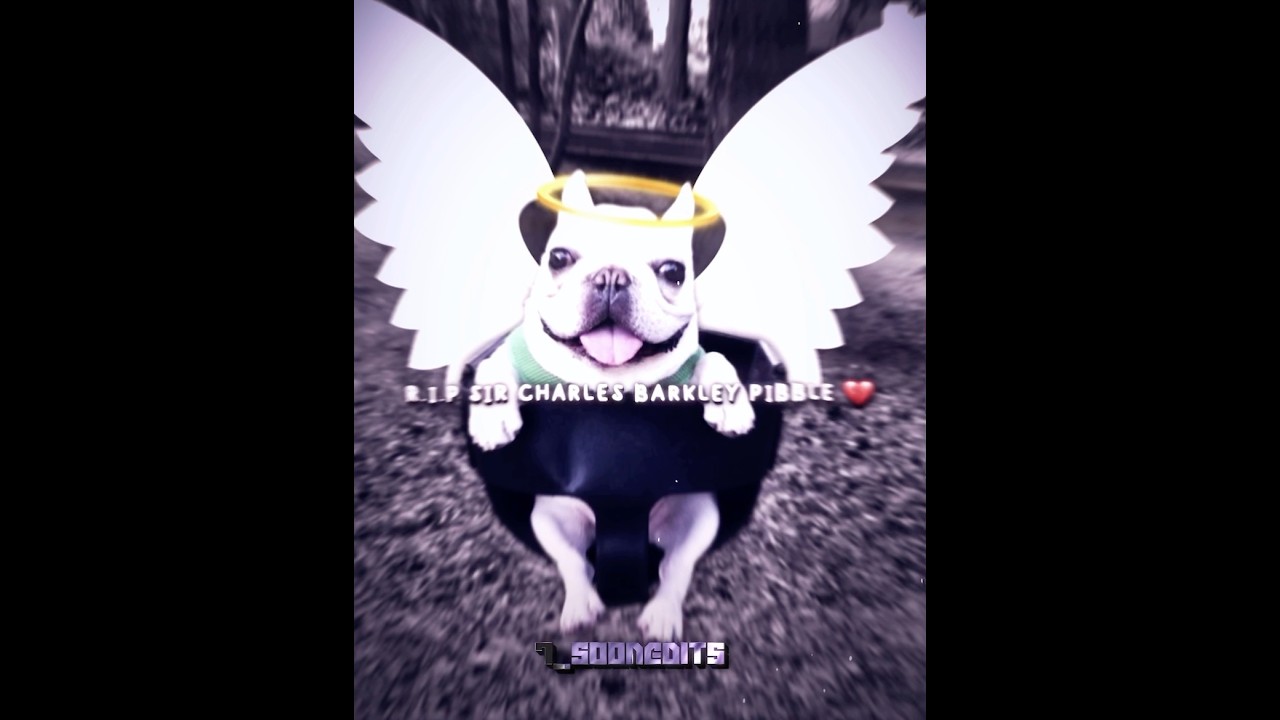 Rip Sir Charles Barkley | PRIDE. • Kendrick Lamar | 