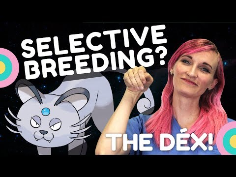Two Breeds of Persian, based in reality! - The Dex!