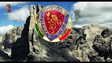 Cosa sono le Fiamme Argento?