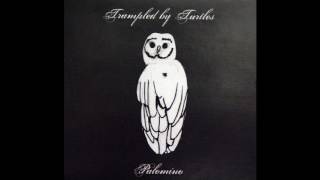 TRAMPLED BY TURTLES - VICTORY