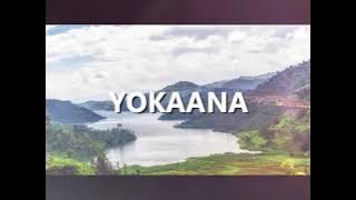 Yokaana (John) Luganda  | Good News | Audio Bible