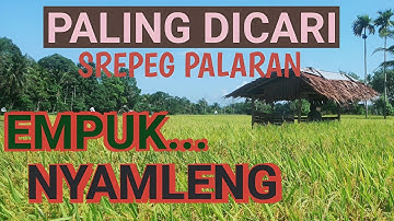 GENDING JAWA PALING DICARI - SREPEG PALARAN EMPUK NYAMLENG - GENDING UYON UYON KLASIK - JAMPI SAYAH
