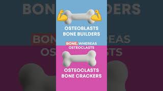 osteoblast vs osteoclast #school #kingofthecurve #student #premed #mcat