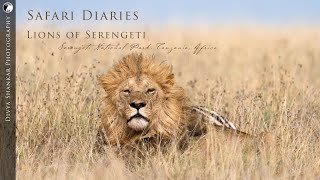 Safari Diaries (4K)  Lions of Serengeti