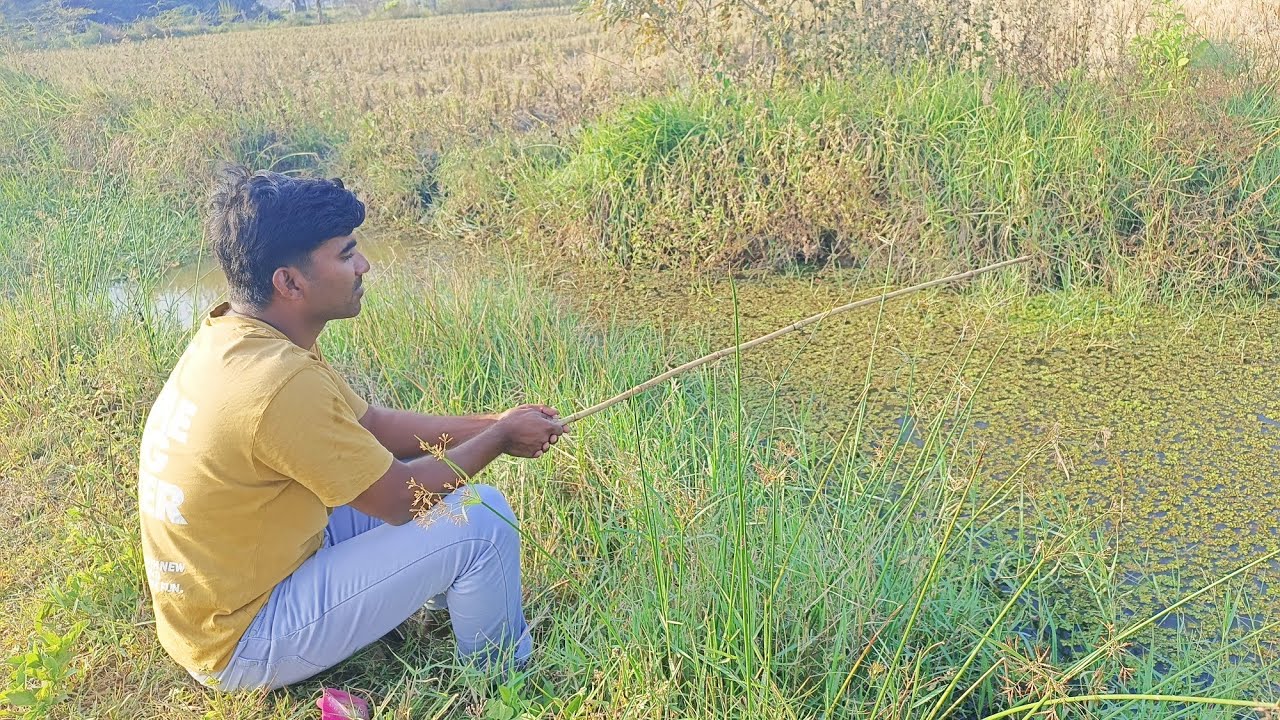Fishing video | Awesome fish catching | Crazy fishing🎣🎣 | hobby2catch | fish hunting | episode-19