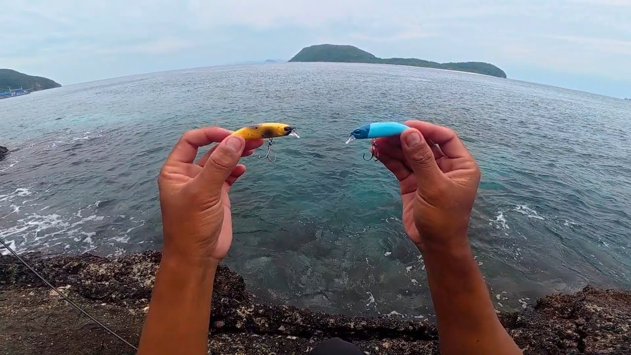 Master Ely Luminous Series !  New Design Minnow