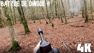 Chasse en Battue en Alsace - Une journée de rêve ! - Tirs sangliers et chevreuils - 4K