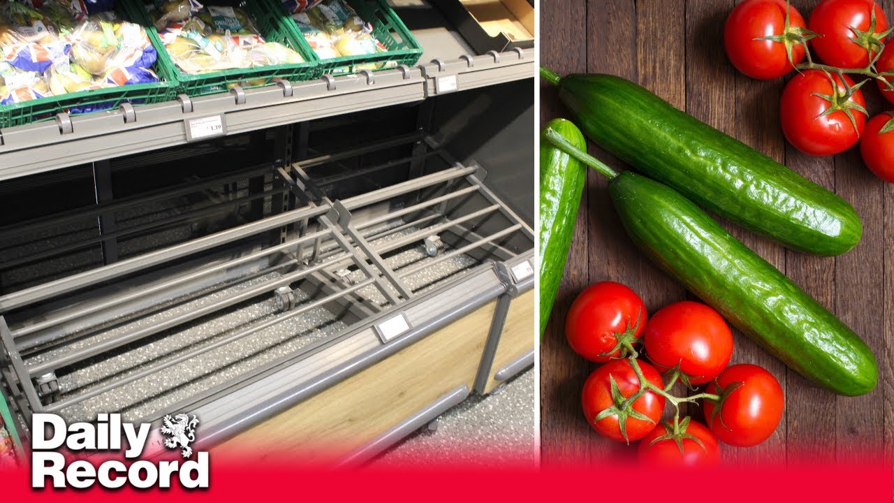 UK supermarket rations latest as tomatoes, cucumbers and other produce becomes scarce on the shelves