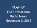 ESAT Ethsat.com Radio News November 3 2013 Ethiopia