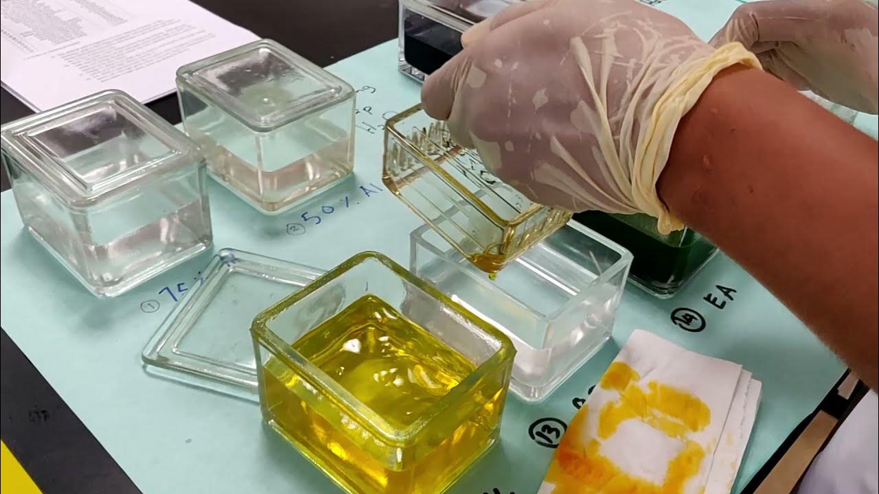 Pap staining procedure for cytology YouTube