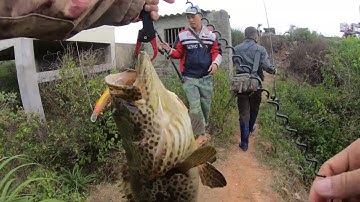 ki niem cua do bop va e song hoa hau 5,4kg cau tai cong 5 song binh huong