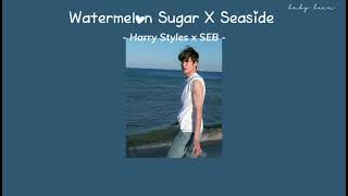 thaisub Watermelon Sugar X Seaside tiktok  Harry Styles  Seb